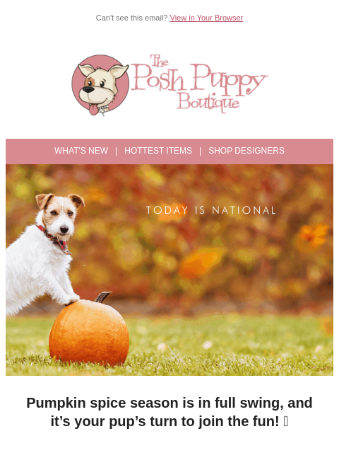 poshpuppyboutique newsletter: 🎃 It’s National Pumpkin Day! Treat Your Pup to So...