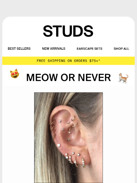 studs newsletter: Don’t Let This Cat Get Away!