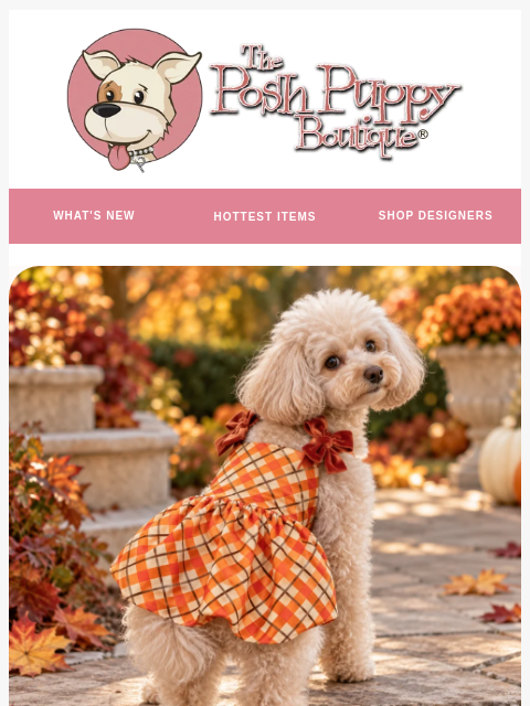 poshpuppyboutique newsletter: Thanksgiving looks for the cutest seat at the tabl...