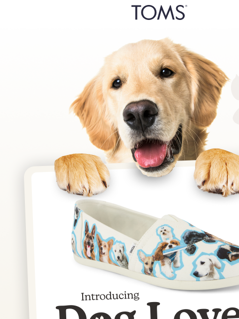 toms newsletter: NEW: Dog Print Alpargatas Are Here 🐶
