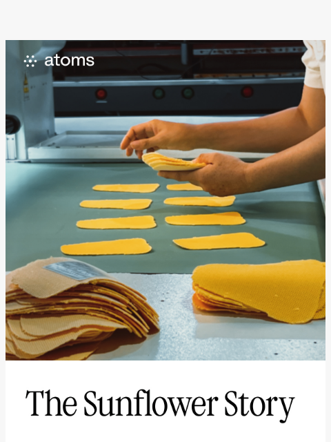 atoms newsletter: Behind the scenes: How Sunflower Yellow comes to l...