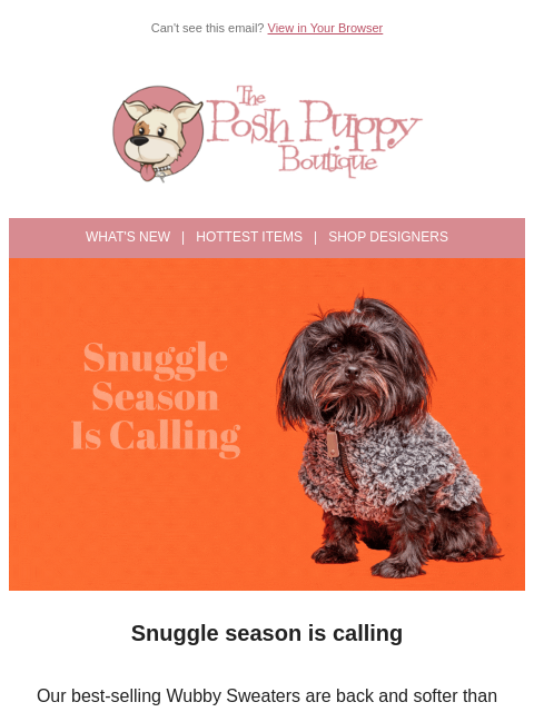 poshpuppyboutique newsletter: The Coziest Sweaters of the Season Are Here!