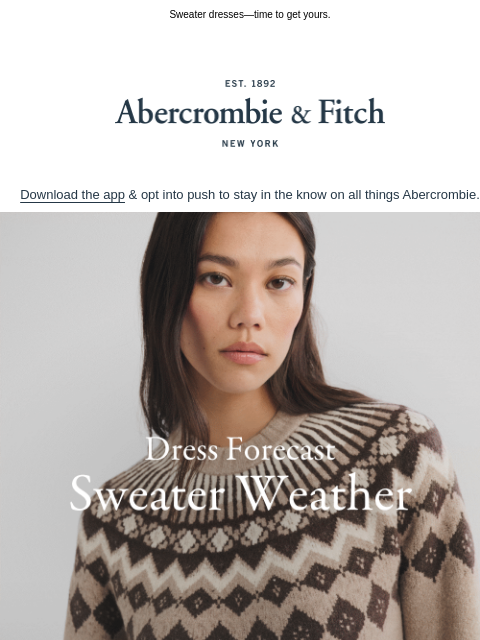 abercrombie newsletter: Dress forecast is calling for...