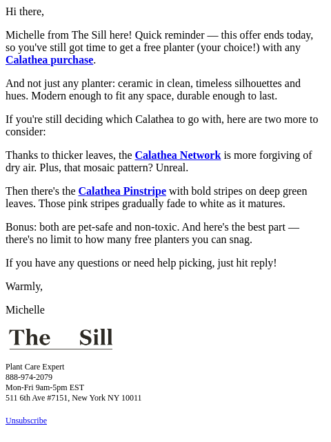 thesill newsletter: These Calatheas move with you