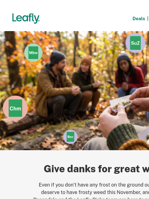 leafly newsletter: The 10 best strains of November 2026 🦃
