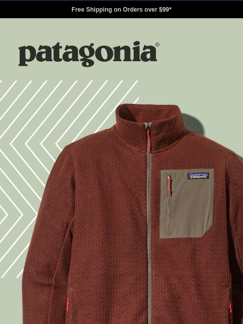 patagonia newsletter: The fleece that breathes with you