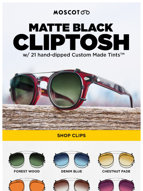 moscot newsletter: Your Frame’s Best Friend?