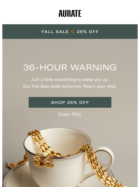 auratenewyork newsletter: ONLY 36 HRS LEFT