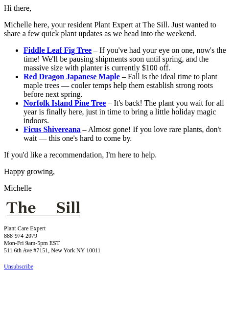 thesill newsletter: A few plant updates I think you’ll love 🌿