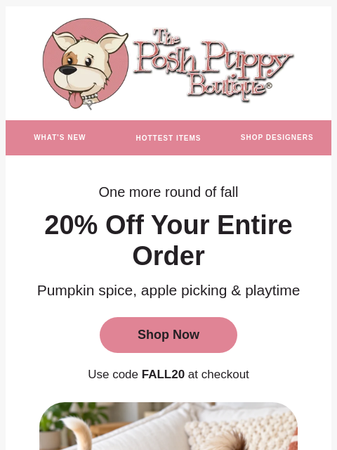 poshpuppyboutique newsletter: One More Round of Pumpkin Spice & Play: 20% Off