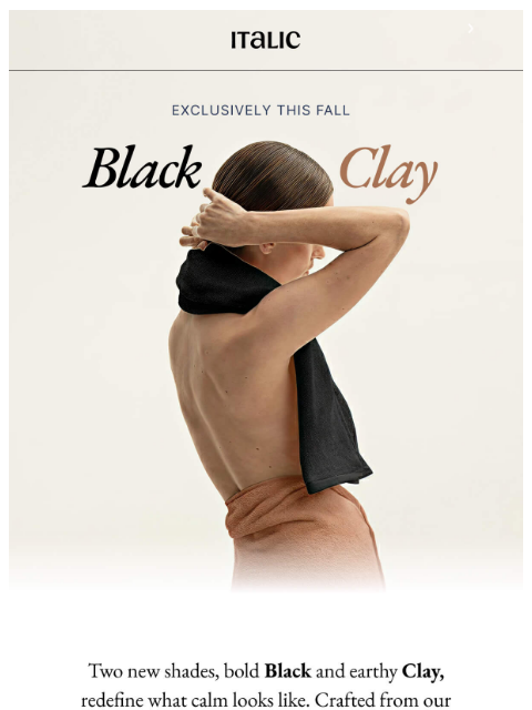 italic newsletter: Limited Release: Black & Orange Fall Towels