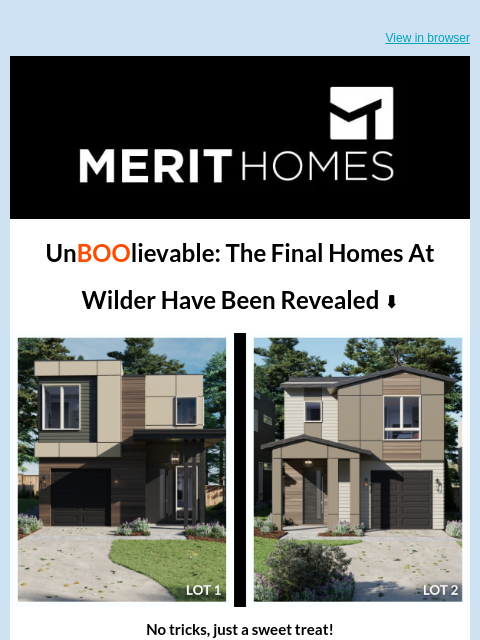 merithomesinc newsletter: 2 NEW, Eerie-sistable Homes from WILDER in North R...