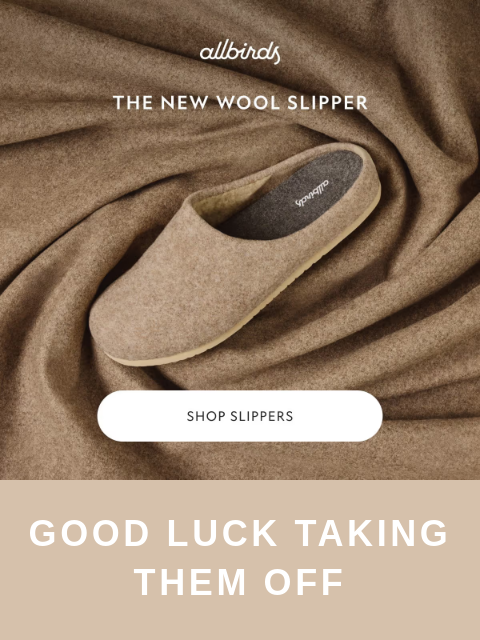 allbirds newsletter: The New Slipper Lineup