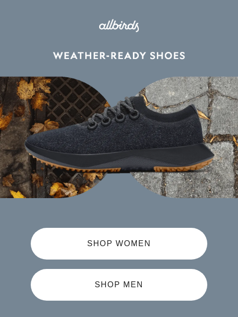 allbirds newsletter: All-Weather. All The Time.