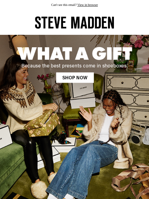 stevemadden newsletter: The Ultimate Gift