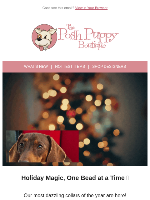 poshpuppyboutique newsletter: ✨ Holiday Dainty Paws Collars Have Arrived!