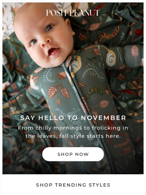 poshpeanut newsletter: 🍁🦔 Hello November!