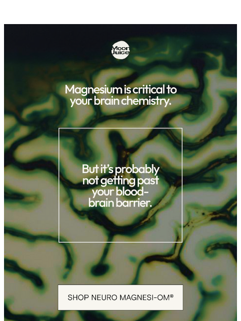 moonjuice newsletter: wtf is the blood-brain barrier
