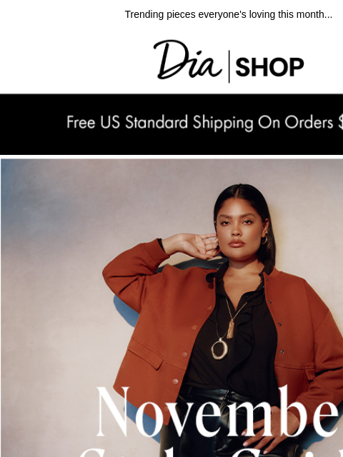 dia newsletter: Meet November's Must Haves​