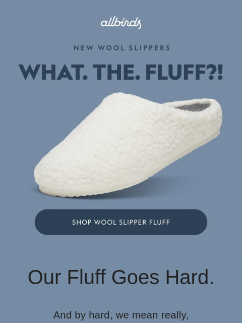 allbirds newsletter: Cozy Slippers, Dialed Up To 11