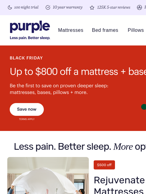 purple newsletter: BLACK. FRIDAY. IS. HERE.