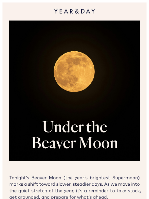 yearandday newsletter: The brightest moon of the year ✨