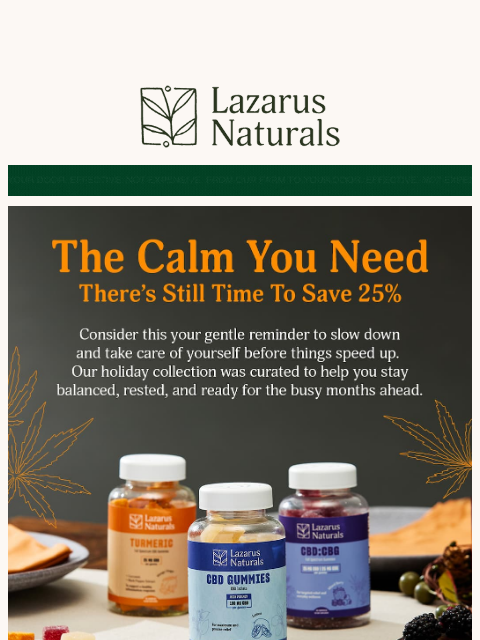 lazarusnaturals newsletter: 🎉 25% Off Our Holiday Collection — For a Limited ...
