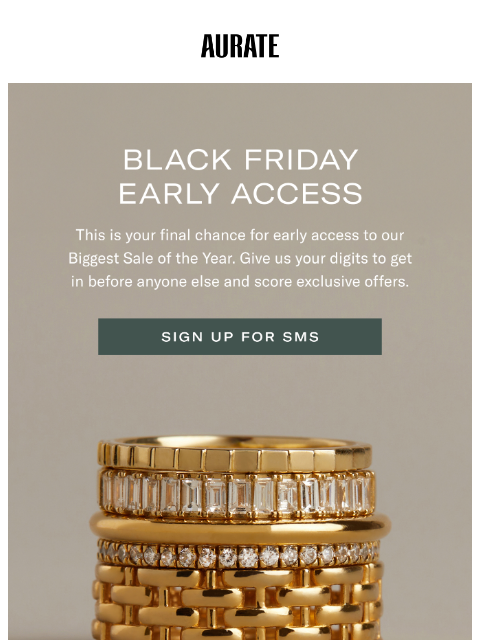 auratenewyork newsletter: 🚨 Final Chance for Early Access