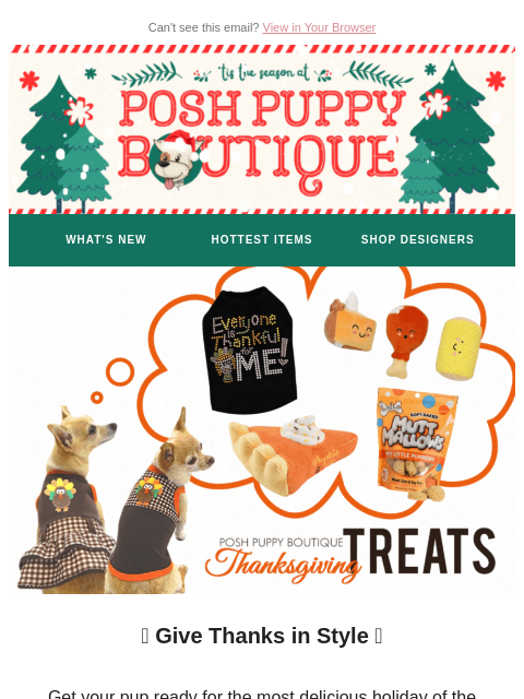 poshpuppyboutique newsletter: Feast-Ready Fashion for Your Furry Friend 🦃✨