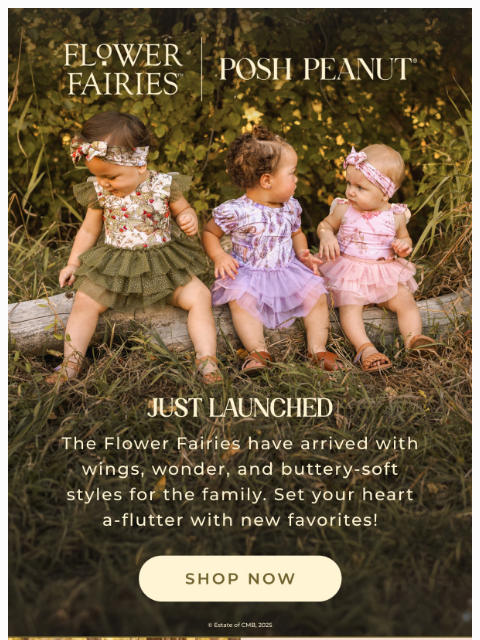 poshpeanut newsletter: 🌸✨🧚 JUST LAUNCHED: Flower Fairies™