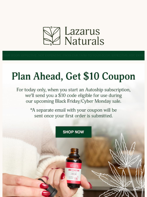 lazarusnaturals newsletter: 🏆 Prep for Black Friday + Get Rewarded Today Only