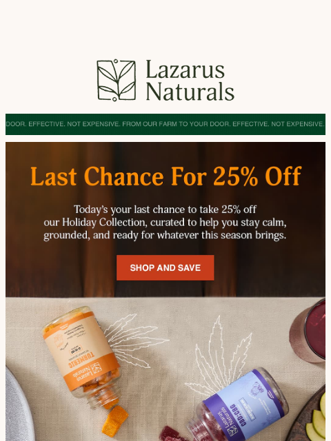 lazarusnaturals newsletter: ⏰ Last Day: 25% Off the Holiday Collection
