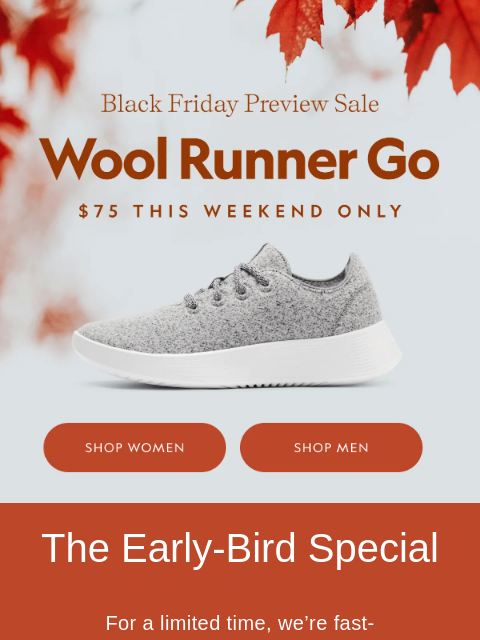allbirds newsletter: Early Black Friday? Big Time.
