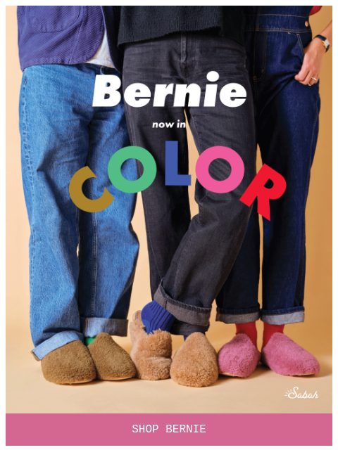 sabah newsletter: Bernie 🌈 Now in Color!