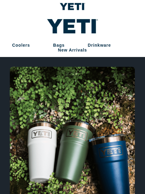 yeti newsletter: In Honor of Veteran’s Day