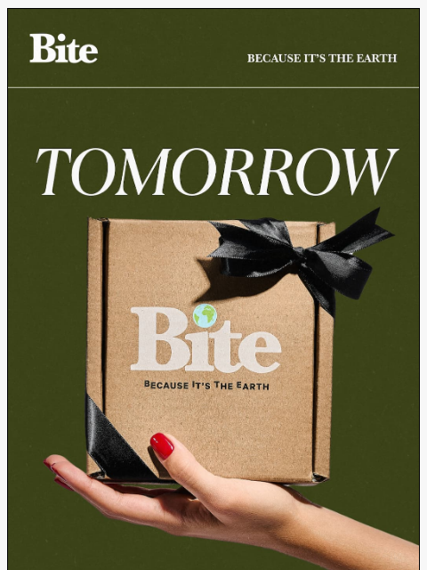 bitetoothpastebits newsletter: Something is coming...