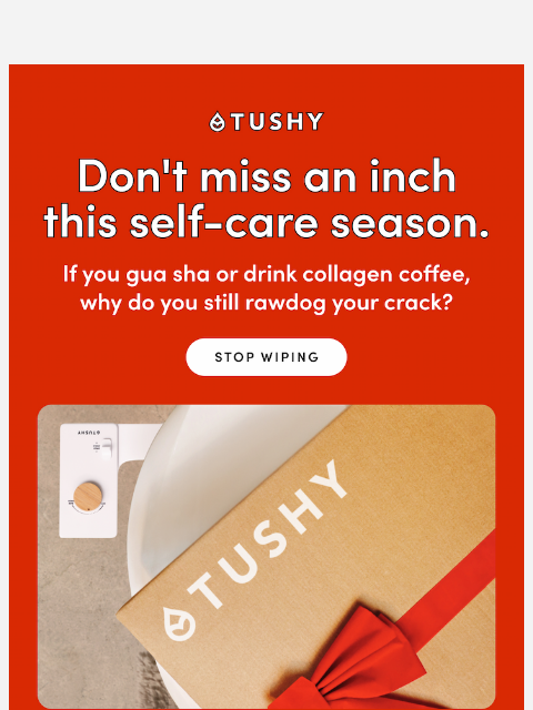 hellotushy newsletter: You sage your air but wipe your bum?