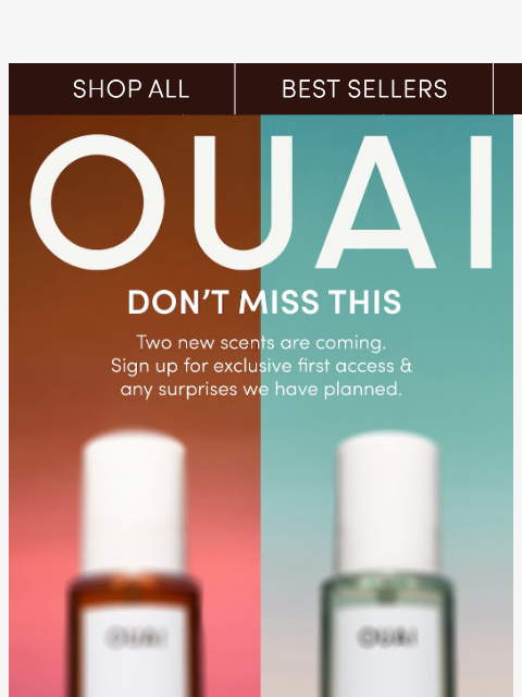 theouai newsletter: We noticed you haven’t booked your OUAI-CATION 👀