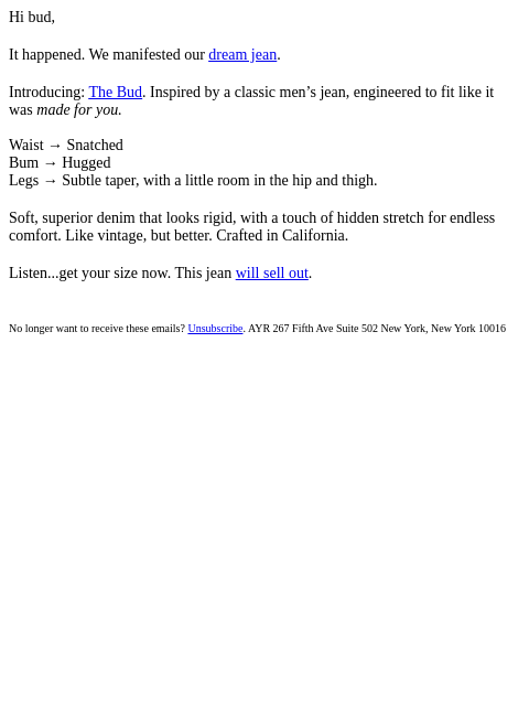 ayr newsletter: our newest jean is...perfection.