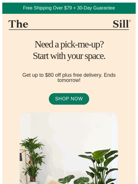 thesill newsletter: Ends tomorrow: $80 off + free delivery