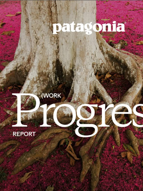 patagonia newsletter: Nothing we do is sustainable