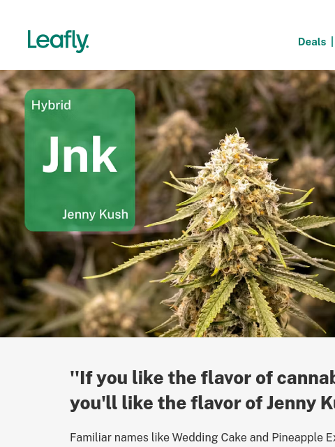 leafly newsletter: This strain has a legacy you should know about 👇