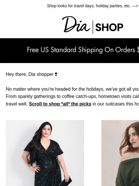 dia newsletter: Headed Home for the Holidays? ​