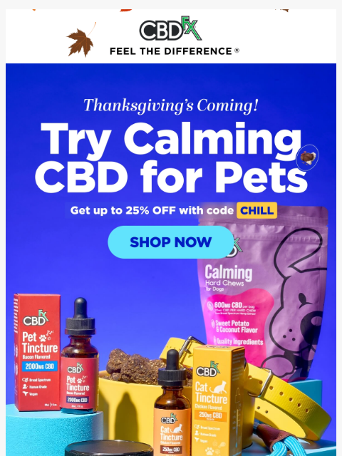 Get up to 25% OFF CBD pet products & more with code... ͏ ͏ ͏ ͏ ͏ ͏ ͏ ͏ ͏ ͏ ͏ ͏ ͏ ͏ ͏ ͏ ͏ ͏ ͏ ͏ ͏ ͏ ͏ ͏ ͏ ͏ ͏ ͏ ͏ ͏ ͏ ͏ ͏ ͏ ͏ ͏ ͏ ͏ ͏ ͏ ͏ ͏ ͏ ͏ ͏ ͏ ͏ ͏ ͏ ͏ ͏ ͏ ͏ ͏ ͏ ͏ ͏ ͏ ͏ ͏ ͏ ͏ ͏ ͏ ͏ ͏ ͏ ͏ ͏ ͏ ͏