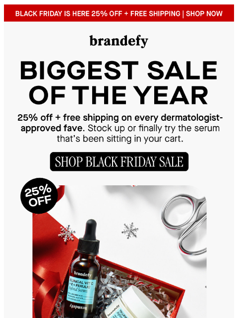 brandefyskin newsletter: BIGGEST SALE OF THE YEAR