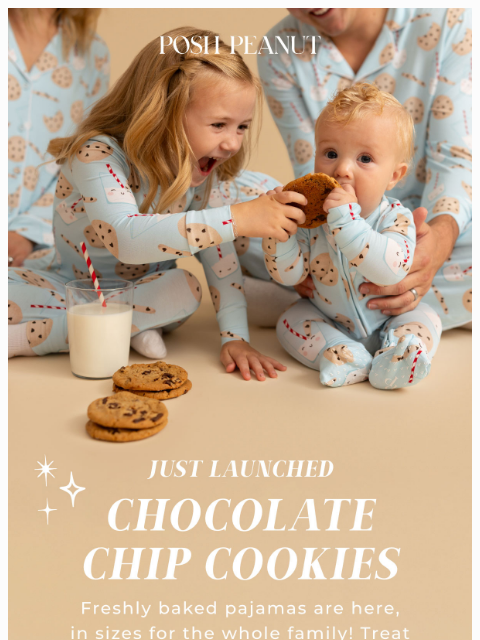 poshpeanut newsletter: 🍪🥛JUST BAKED: Chocolate Chip Cookies