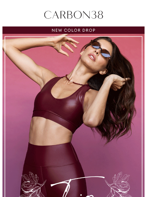 carbon38 newsletter: New in Takara Shine