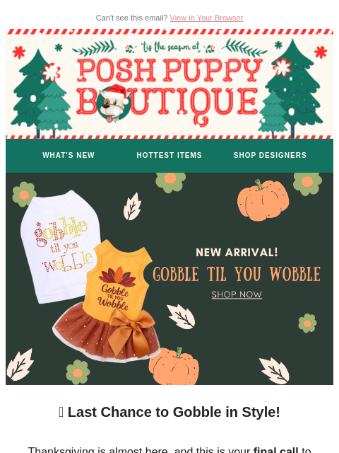 poshpuppyboutique newsletter: Last Chance to Grab Thanksgiving Styles! 🦃