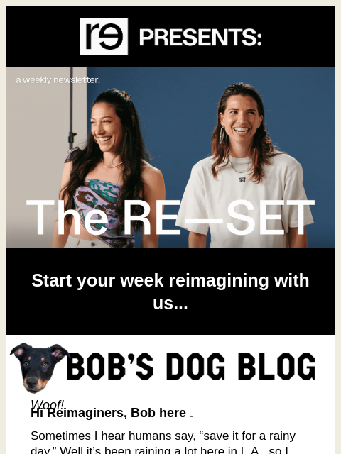 re-website newsletter: Bob's Dog Blog: A Rainy Day Pupdate 🌧️