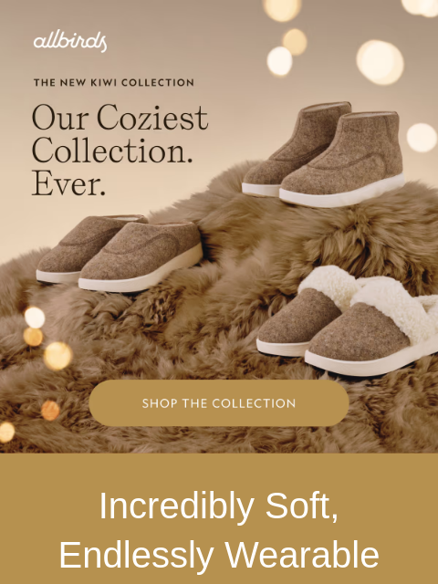 allbirds newsletter: New, Go-Everywhere Cozy Shoes